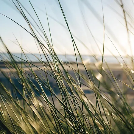 Nordstrandperle Ap H8 *