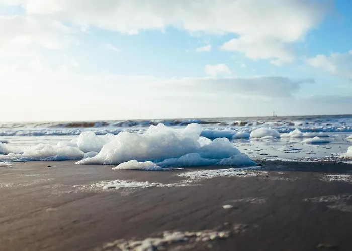 Apartman Nordstrandperle Ap H8 Norderney