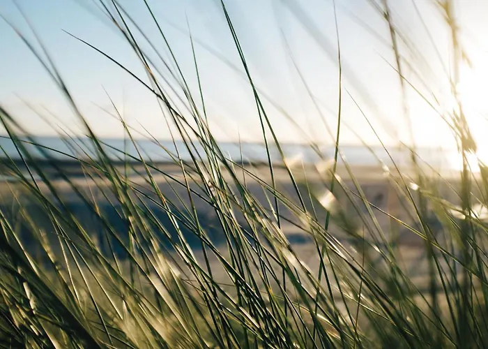 Nordstrandperle Ap H8 *