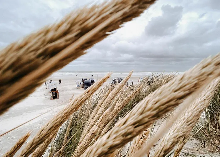 Nordstrandperle Ap H8 Apartman *